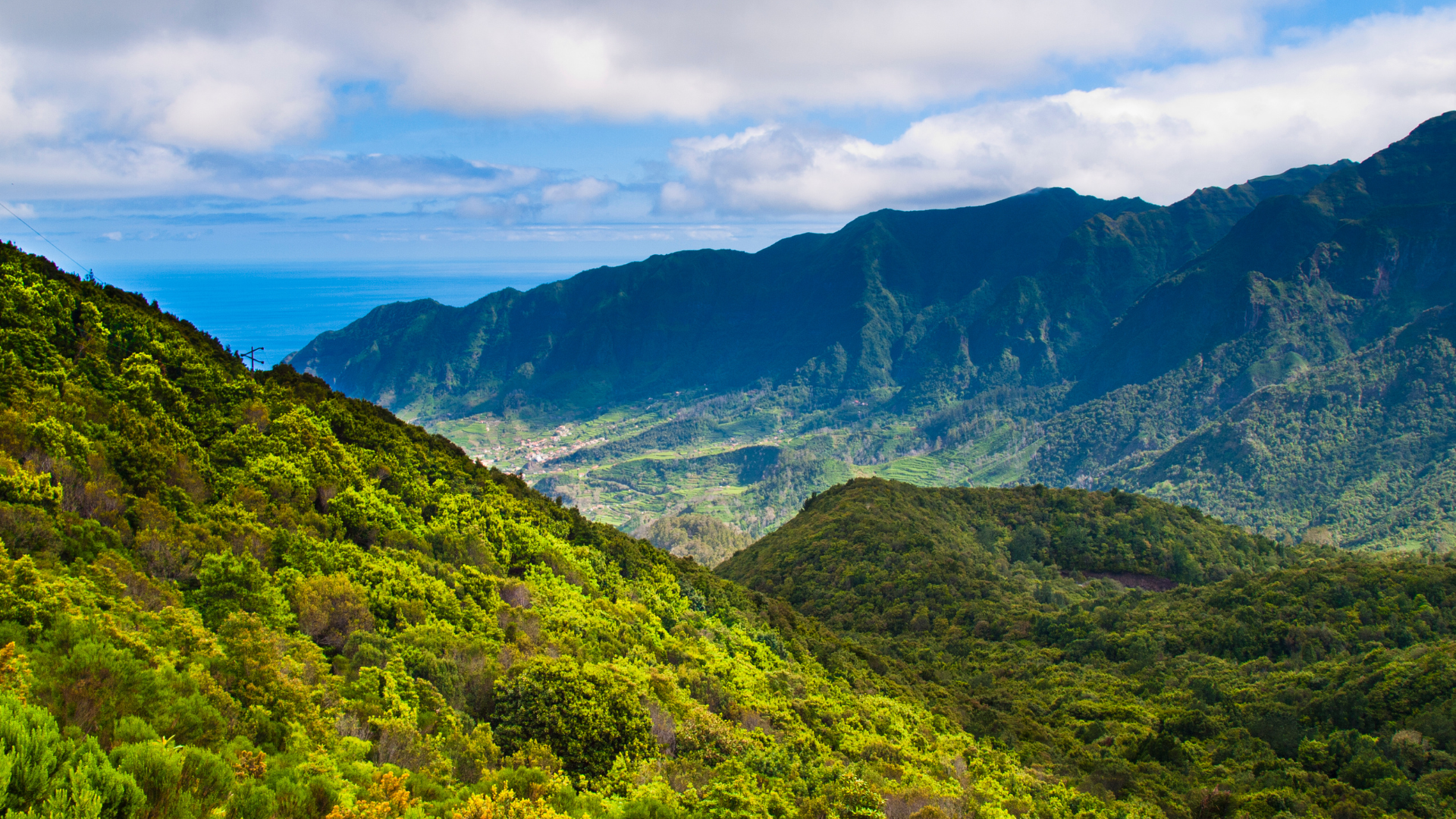 Discover the Magic of Madeira: Portugal’s Atlantic Gem for Wine Lovers and Nature Seekers
